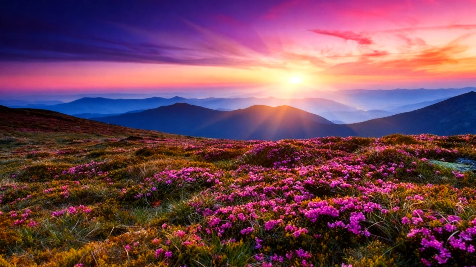 Beautiful 2026-01-29T08:33:15.631Z"